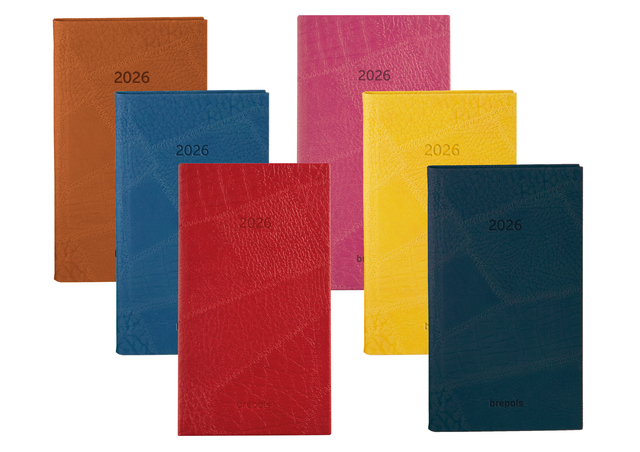Agenda 2026 Brepols Optivision Pocket Lucca 7 jours/2 pages assorti