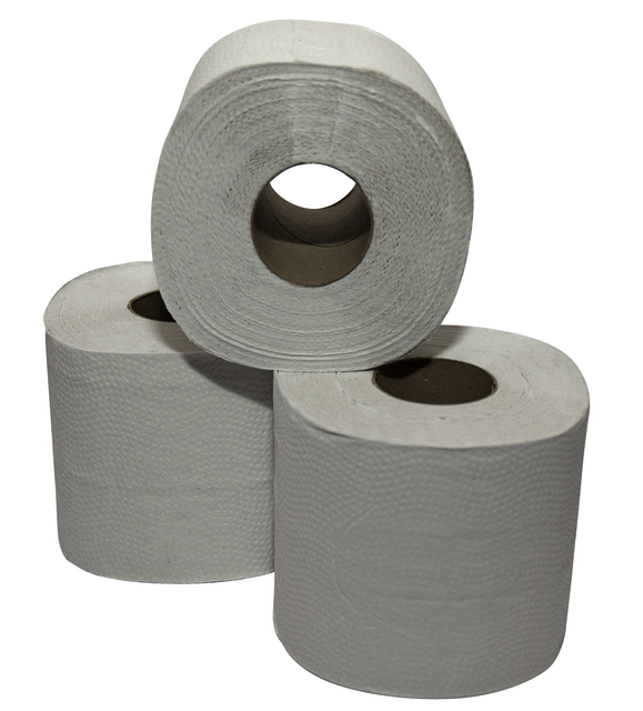 Papier toilette Cleaninq recyclé 2 épaisseurs 400 feuilles blanc