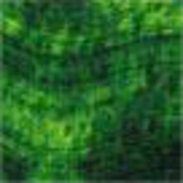 Acrylverf Acrylicos Vallejo 500ml sap groen ++ (de)