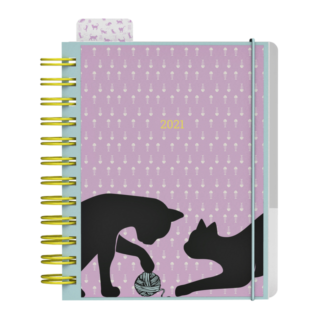 Agenda 2021 do it yourself cats