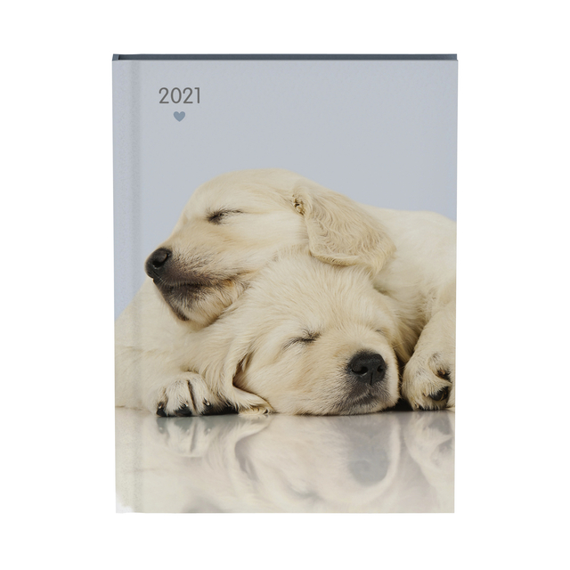 Agenda 2021 my favourite friends dogs