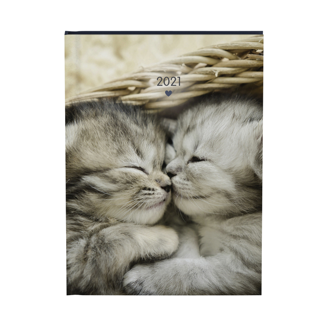 Agenda 2021 My favourite friends cats