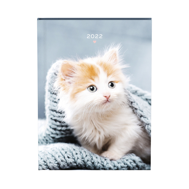 Agenda 2022 katten blauw