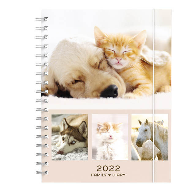 Agenda 2022 My Favorite Friends