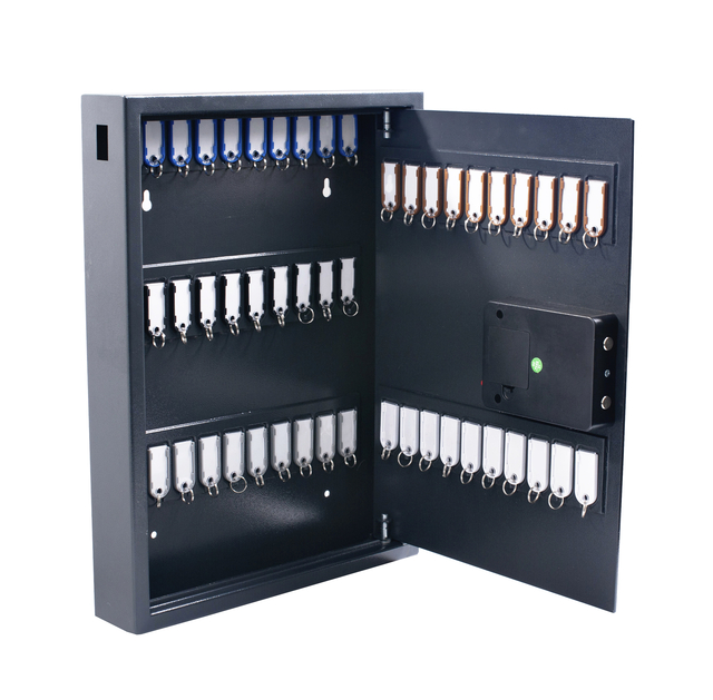 Armoire à clés Pavo High Security Magnettag 50 crochets 575x450x77mm