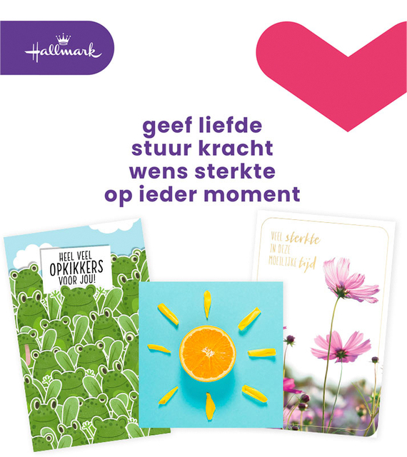 Carte de voeux Hallmark Business Box 'Beterschap/Sterkte' recharge 12 pièces