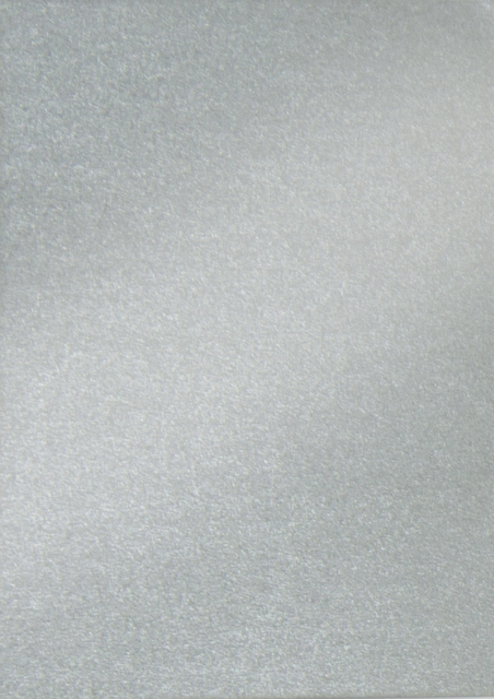 Fotokarton Folia 250gr 50x70cm 10vel parelmoer 60 zilver