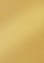 Fotokarton Folia 250gr 50x70cm 10vel parelmoer 65 goud