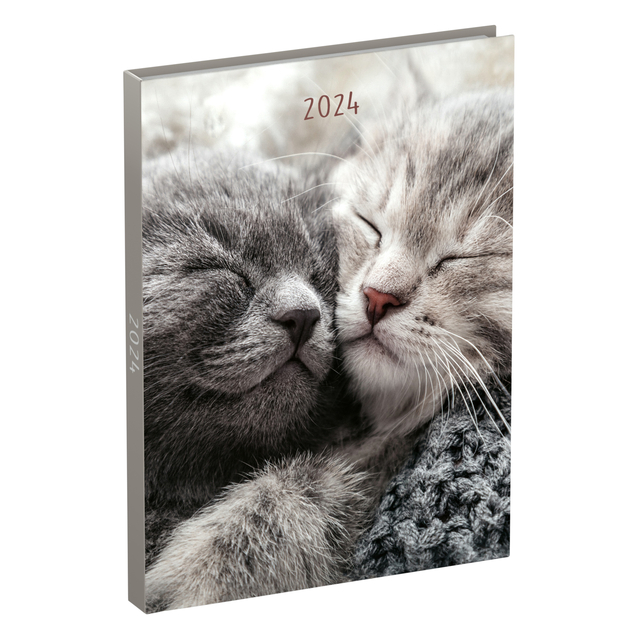Agenda 2024 Lannoo My Favourites Friends 7 jours/2 pages 110x150mm chat