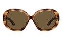 Zonnebril Montana met bruin gepolariseerd glas glans demi