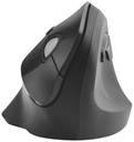 Souris Kensington Pro Fit Ergo Verticale Sans fil