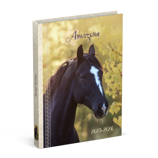 Agenda scolaire 2025-2026 Lannoo Horses 1 jour/1 page jaune