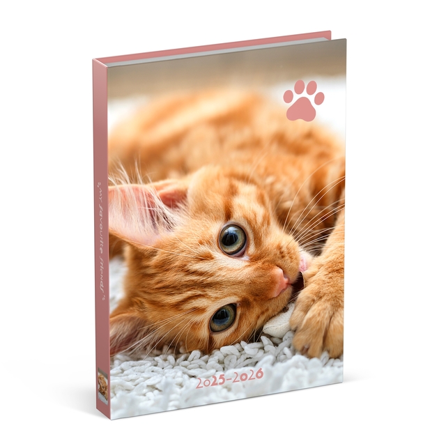 Schoolagenda 25-26 Lannoo Cats 1dag/1pagina roze
