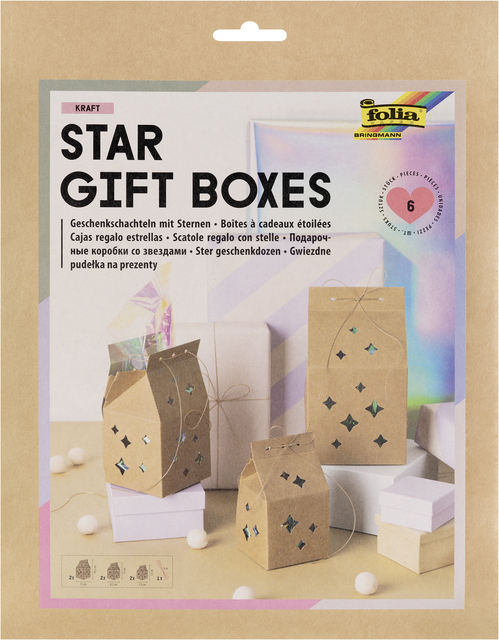 Giftbox Folia Star kraft set à 6 stuks