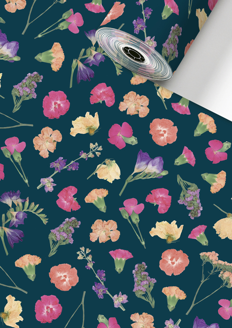 Rouleau pour appareil Stewo Mailo 150mx50cm