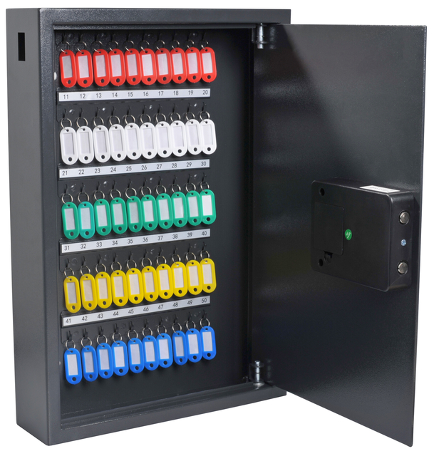 Armoire à clés Pavo High Security Advanced 50 crochets 550x380x100mm