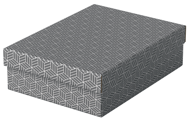 Boîte de rangement / cadeau Esselte Home Medium 265x100x260mm gris 3 pièces