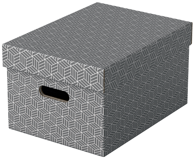 Boîte de rangement Esselte Home Medium 265x205x365mm gris 3 pièces