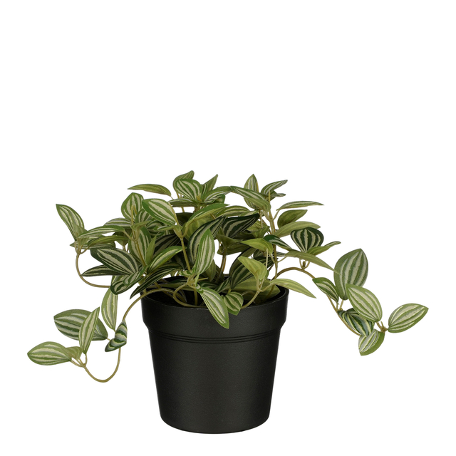 Plante artificielle Mico Tradescantia Pot plastique 16x16cm