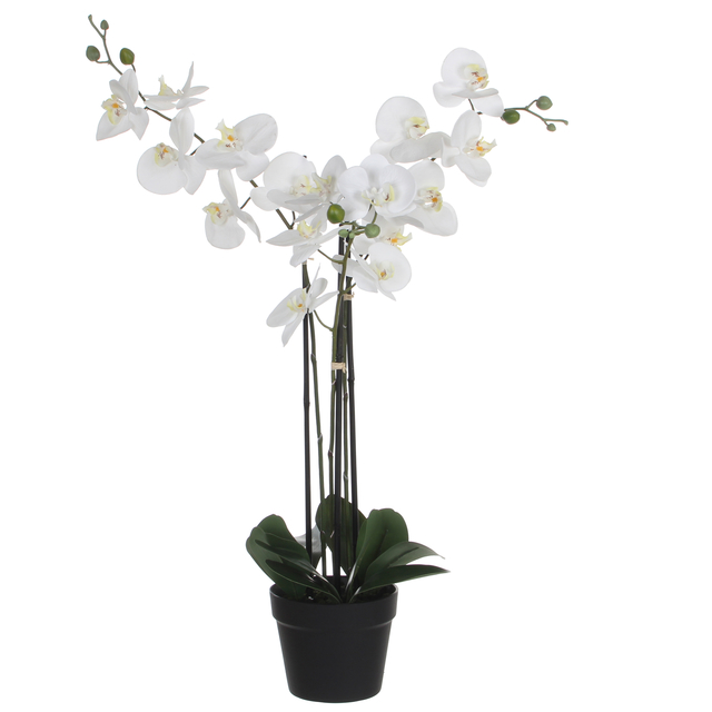 Plante artifielle Mica Orchidée Phalaenopsis blanche Pot plastique 79x51cm