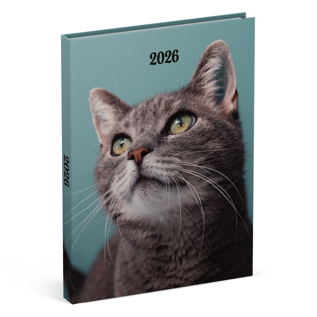 Agenda 2026 Lannoo 110x150 My favourite friends 7dagen/2pagina's cats