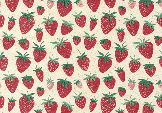 Apparaatrol Strawberry 200mx50cm