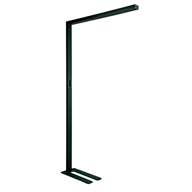 Lampadaire MAULsirius LED capteur mouvement lumière réglable noir
