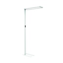 Lampadaire MAULsenja LED capteur mouvement lumière réglable blanc