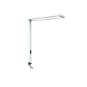 Lampe fixation table MAULsenja LED mouvement - capteur lumière du jour dimmable blanc