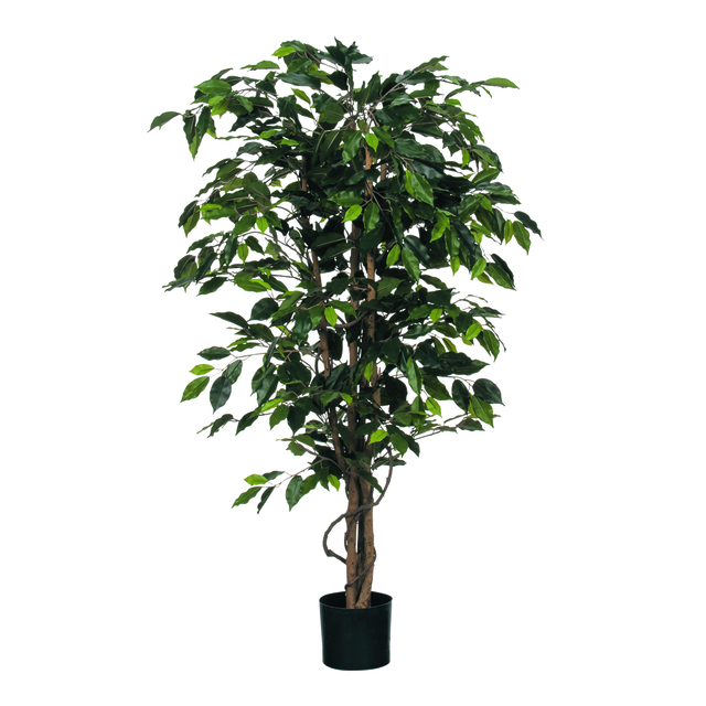 Plante artificielle Mica Ficus verte en pot plastique Ø85cm 150cm