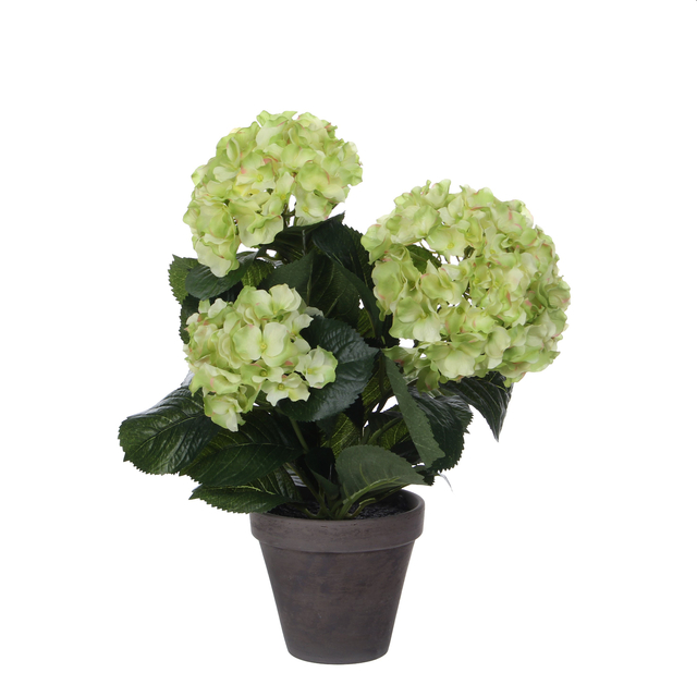 Plante artificielle Mica Hortensia vert Ø35 40cm
