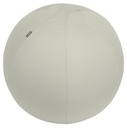 Ballon d'assise Leitz Ergo anti-basculement 65cm design