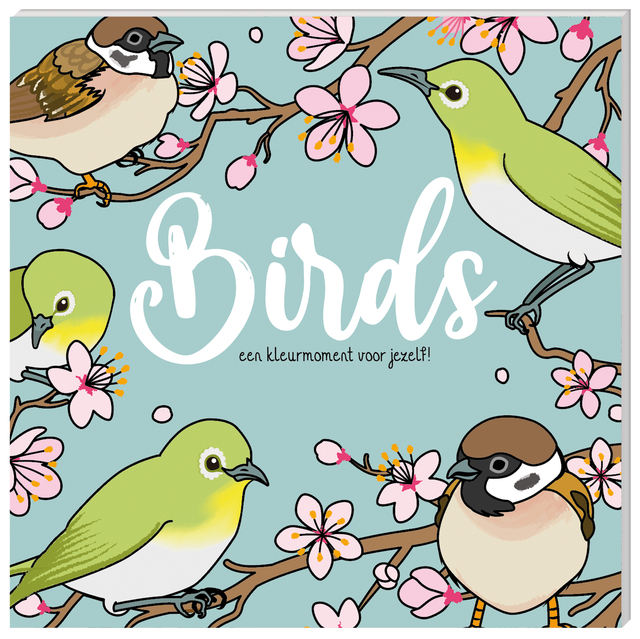 Livre de coloriage InterStat Birds
