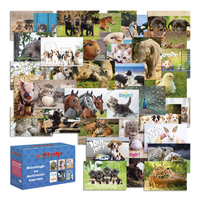 Carte de récompense De Stulp thème animaux assorti