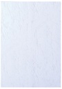 Couverture GBC A4 similicuir blanc 100 pièces