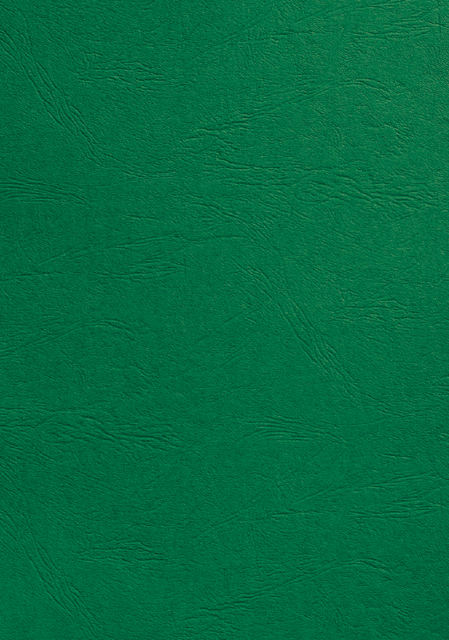 Couverture GBC A4 similicuir groen 100 pièces