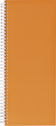 [022110] Livre d'inventaire 135x330mm ligné 160 pages 70g spirale orange