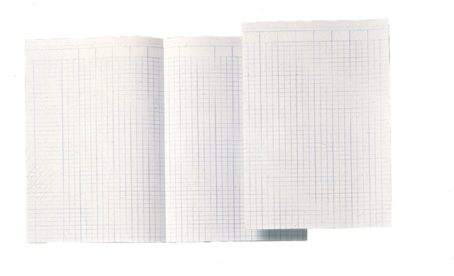 Accountantspapier dubbel folio 14 kolommen 100vel