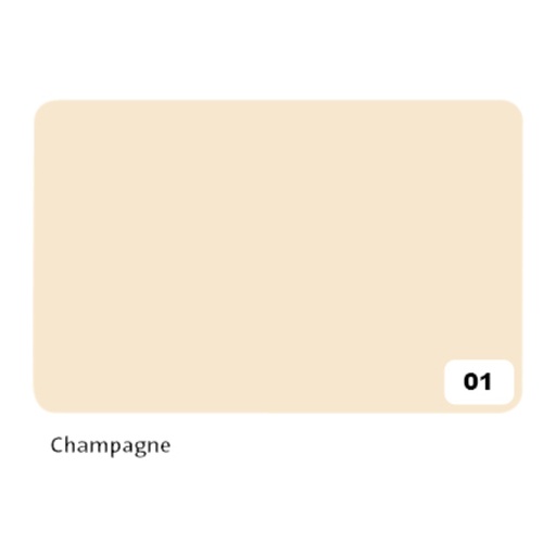 [141691] Carton photo Folia 2 faces 50x70cm 300g nr 01 champagne