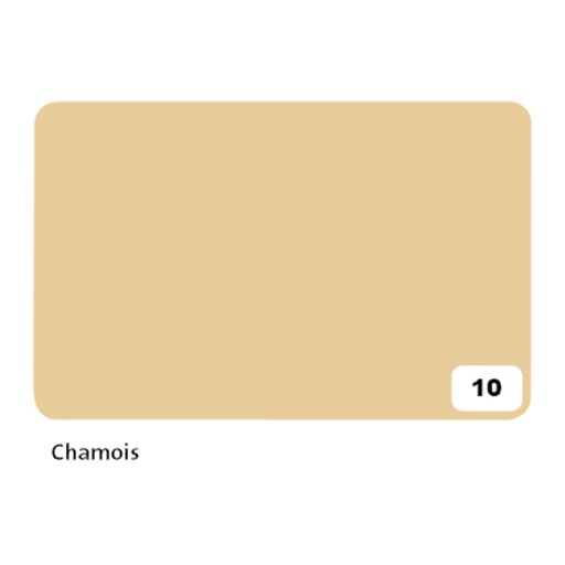 [141690] Carton photo Folia 2 faces 50x70cm 300g nr 10 chamois