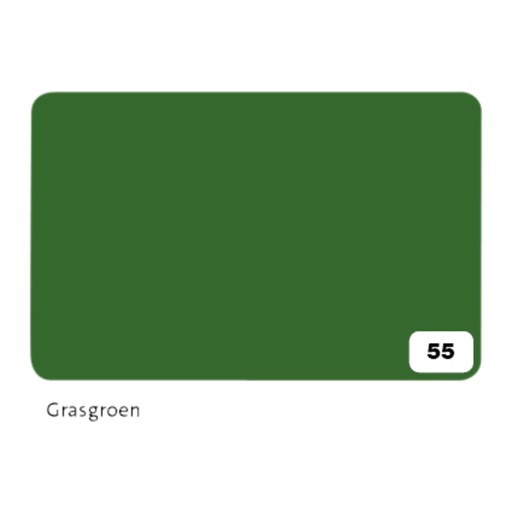 [141684] Carton photo Folia 2 faces 50x70cm 300g nr 55 vert moyen