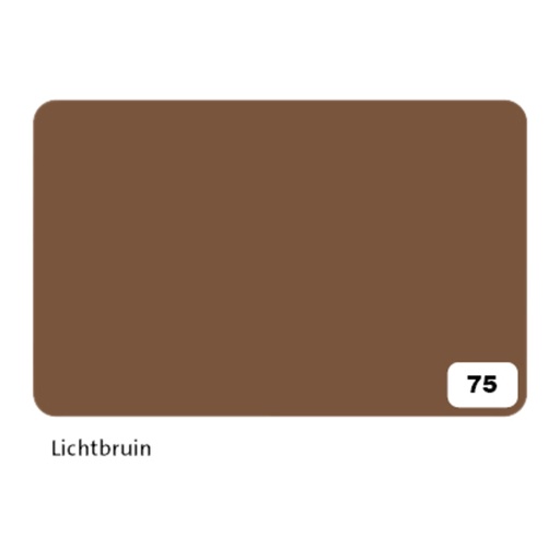 [141696] Carton photo Folia 2 faces 50x70cm 300g nr 75 marron clair