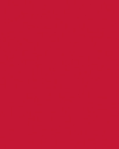 [142142] Etalagekarton Folia 1-zijdig 48x68cm 380gr nr211 rood