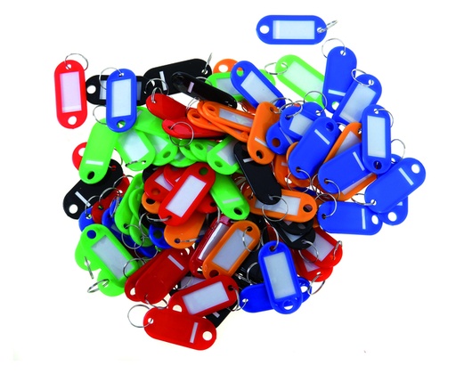 [327954] Porte-clés Pavo en plastique assorti 100 pièces