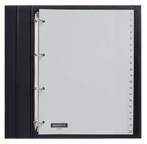 [270557] Intercalaire Quantore 4 perforations numéro 1-20 PP gris