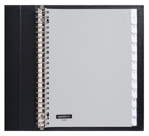 [270604] Tabbladen Quantore 23-gaats 12-delig met venster grijs PP
