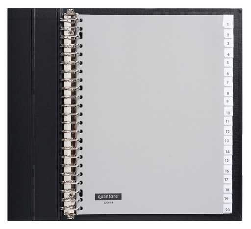 [270608] Tabbladen Quantore 23-gaats 20-delig met venster grijs PP