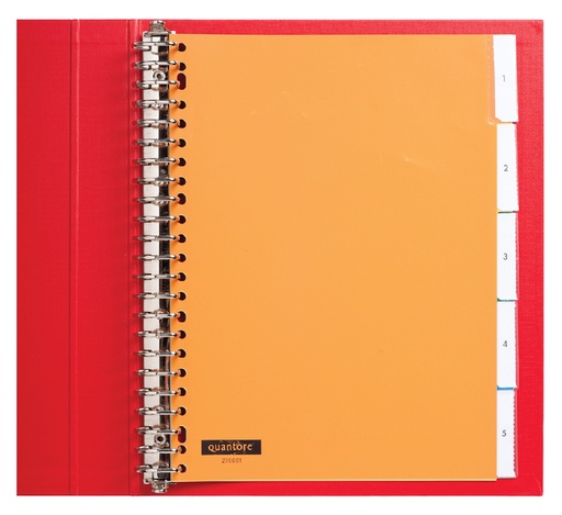 [270601] Intercalaire Quantore 23 perforations 5 onglets+fenêtre assorti PP