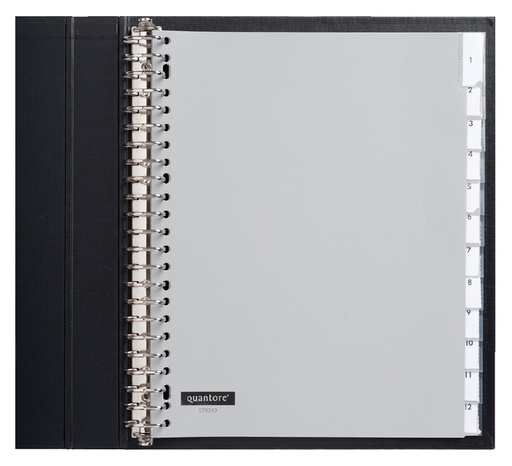 [270389] Intercalaire Quantore 23 perforations 12 onglets+fenêtre Extra Large PP