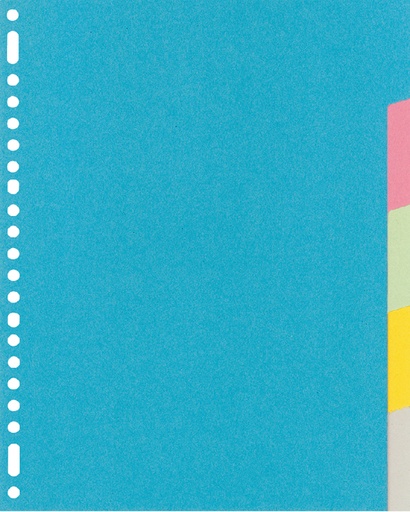 [270438] Tabbladen Kangaro 23-gaats RY405M 5-delig assorti karton